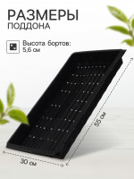   ,  , 55 30 5.6 , , Greengo