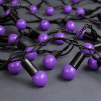   10     1.5 , Ip44,  , 100 Led,  , 8 , 220 