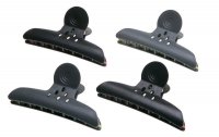  Cl2207     , , 10 , (4   )