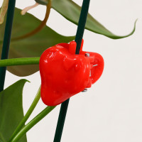 ������ ��� �������� ���������, ����� 10 ��., ����, Greengo