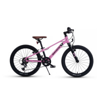  20 Maxiscoo 7bike M200,  