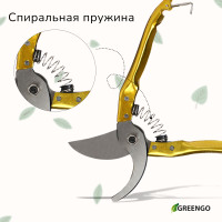  , 8 (20 ),   ,   , Greengo