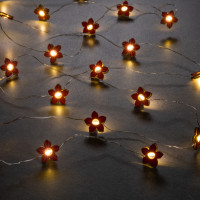   2     , Ip20,  , 20 Led,  2 (  ),  