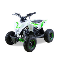    Motax Gekkon 90cc 1+1 (), -