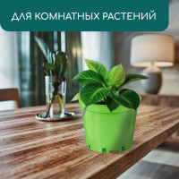   , 5 , D = 22 , H = 18 , , , Greengo