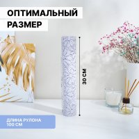    , 30x100 ,  