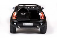 Mini Beachcomber (  ) -