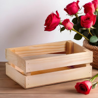 ����� ��� ������ ������� ����, 24.5 13.5 9 ��, ����������