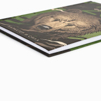   23  ,     5, 80 ,  350 