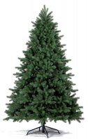   Royal Christmas Georgia Premium 180 