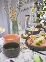  "Scandi.Primerose" D 21 H 3