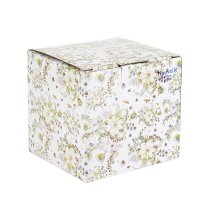  ��������� � ������  ��������  10x10x12 300��, ������, � ���������� ������, ���������� �������� 