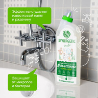   Synergetic "  ", ,  , 700 