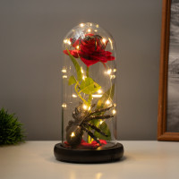    Risalux   , Led-, 1.5 , 3 Aaa, , Usb, 11 11 21 