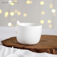 ���������� ����� �������� ��� ������: ������ 200 ��, ������ 18 � 11 ��, �����