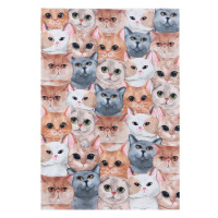     Cozy Set,  75 100 ,  36-39 (23-25 ),   