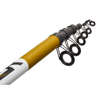     Salmo Blaster Tele Pike 4.20