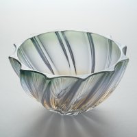   Bohemia Gold Scallop 19 