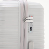   100  (l),   ,  , 4 ,  