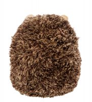 Pt-136/1 ����