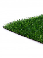 ����� �������������, ��� ������, ���� 40 ��, 1 2 �, ������, Greengo