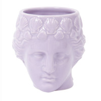  Doiy Venus,  