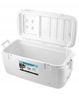   Igloo Quick&cool 100 White