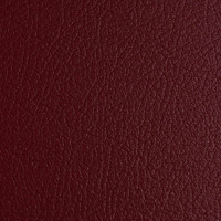   Zapel Eco Leather,  