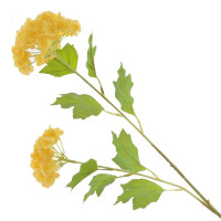 ������ ������������� ���������, L19 W12 H67 ��