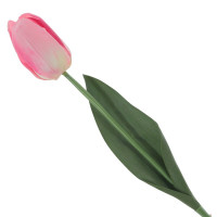    (real Touch), L4 W3 H45 