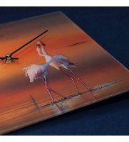 Slt-27   Flamingo