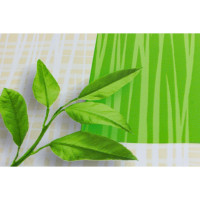  Camelia  , 140 , 20 .., . 544/1