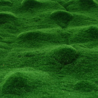  , ,  1 1 , ,  , , Greengo