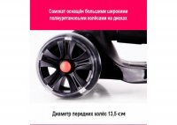        Scooter Maxi