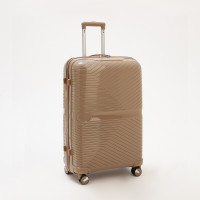   100  (l),   ,  , 4 ,  