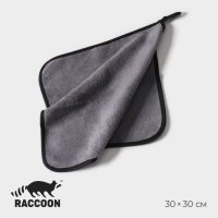    Raccoon  , 30x30 , ,  