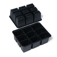 -  , 56   17   12 , 3 , 27 , , Greengo