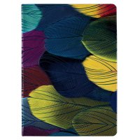  Butterfly Peacock, 