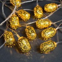   4    , Ip20,  , 20 Led,   , 8 , 220 