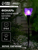    , ,   , 4.5 29 4.5 , 1 Led,  