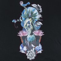 �������� ���������, ������