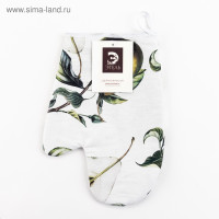 - ""  2027,100% ,  250/2 ()