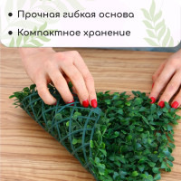  , 25 25 , , Greengo