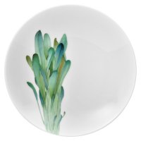   Noritake    23