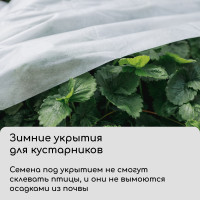  , 10 2.1 ,  60 / ,   -, , Greengo,  30%