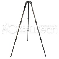  Greenbean Videomaster 171