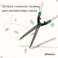 , 31 44,5 (79 113 ), ,    , Greengo