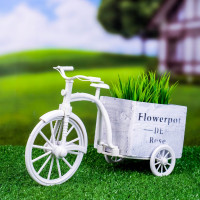      Flowerpot De Rose, 26 12 18 , , , 