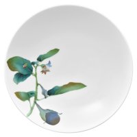    Noritake    23
