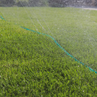    , , D = 12  (1/2), L = 5 , Greengo